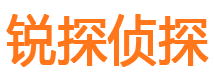 武定市私家侦探